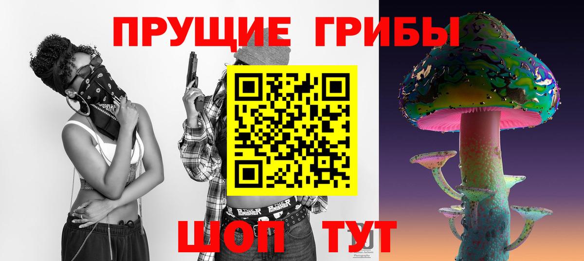 Галлюциногенные грибы Psilocybe  Псилоцибиновые грибы мухоморы  Чайковский  Вход с VPN 